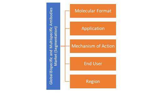 Bispecific and Multispecific Antibodies Market